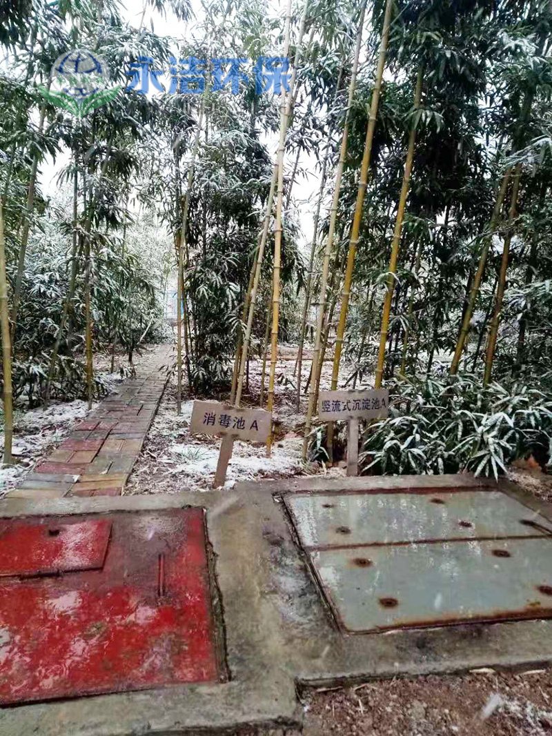 &#20048;&#40060;
